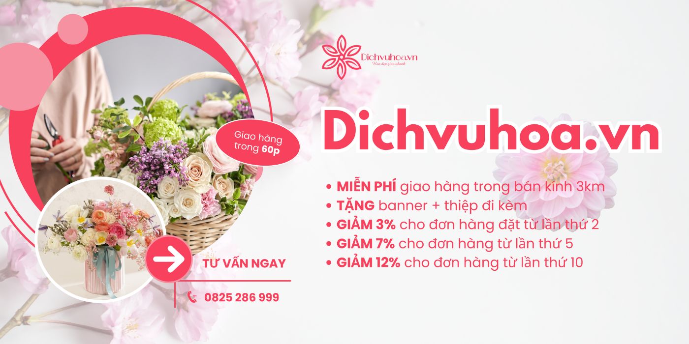 Sở hữu ngay hoa tươi mới nhất từ Dichvuhoa.vn