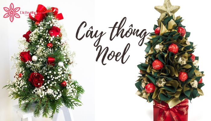 Cây thông noel biểu tượng cho ngày lễ giáng sinh