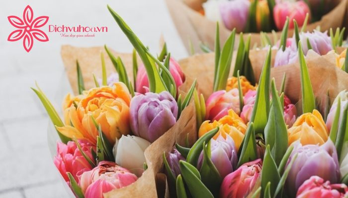 hoa tulip là loài hoa mang nhiều ý nghĩa