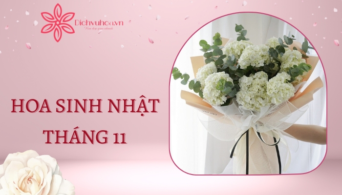 Dichvuhoa.vn - Đặt hoa sinh nhật tháng 11 đẹp, chất lượng