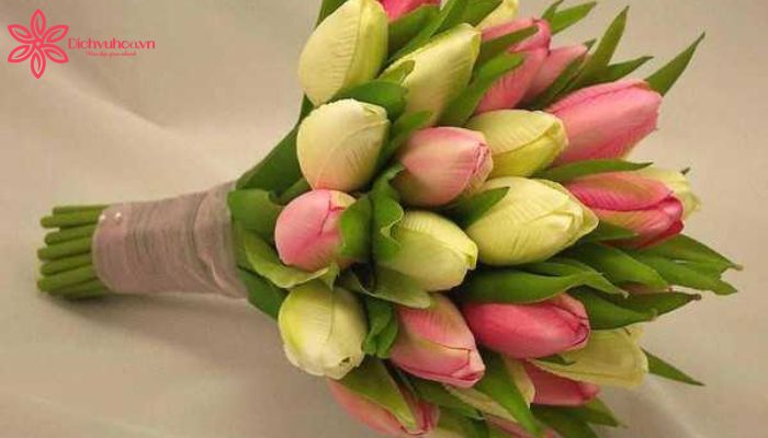 Hoa Tulip: Ý nghĩa tình yêu đẹp và hạnh phúc đôi lứa