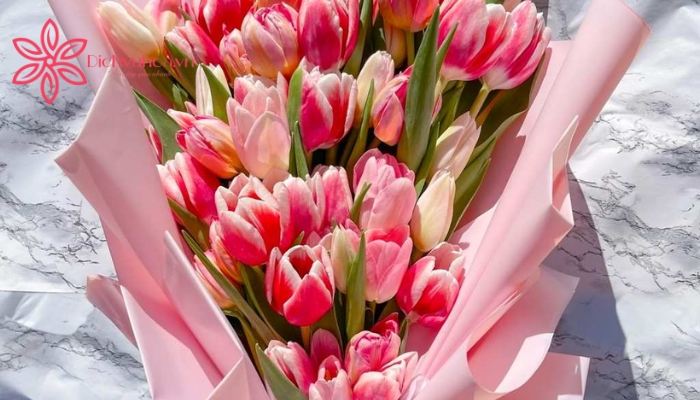 Hoa tulip có nhiều ý nghĩa trong tình yêu