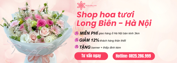 Shop hoa tươi quận Long Biên, Hà Nội giá rẻ, chất lượng