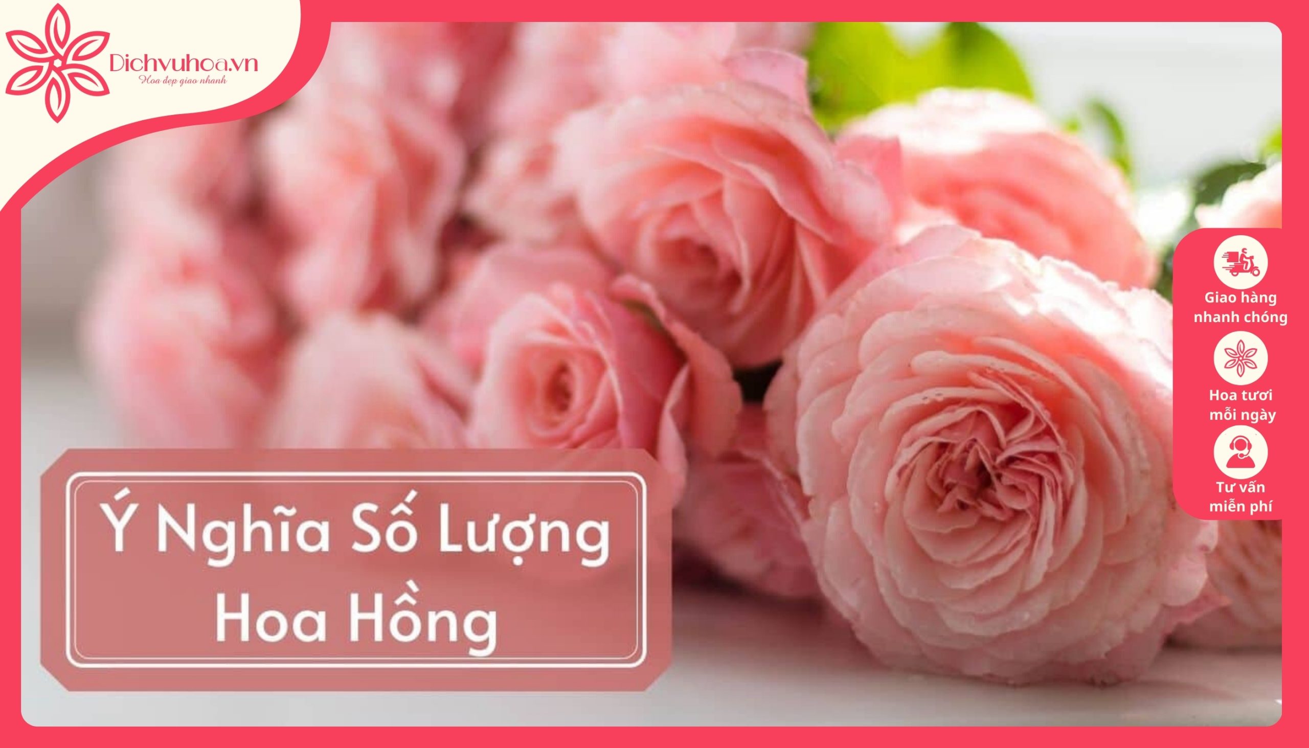 Ý nghĩa số lượng hoa hồng