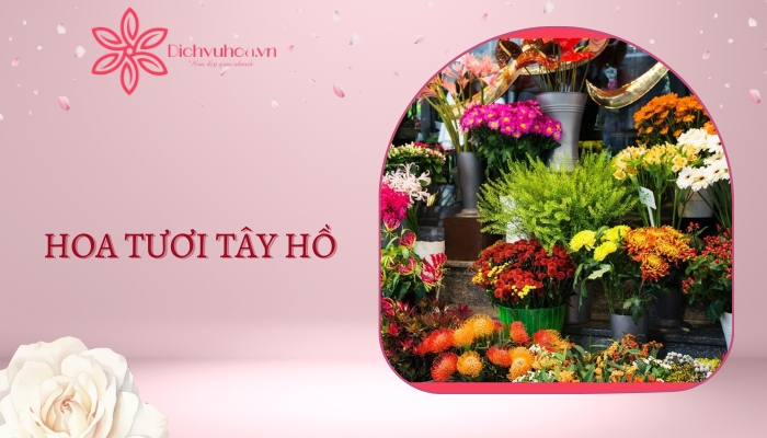 Shop Hoa Tươi Tây Hồ - Đa Dạng Mẫu Mã, Giao Hoa Nhanh