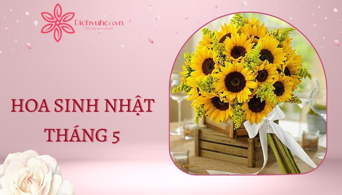 Hoa chúc mừng sinh nhật tháng 5