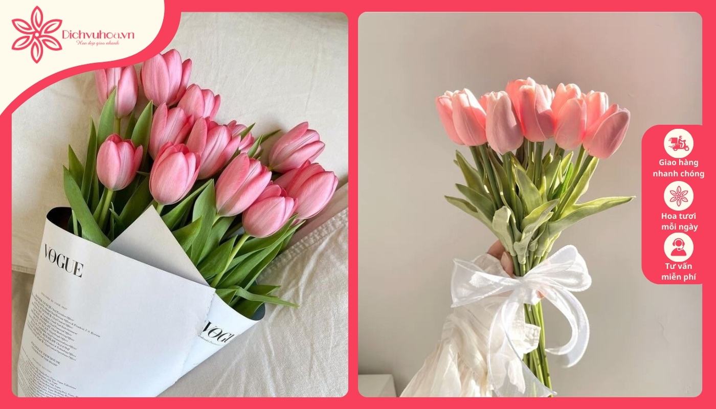 Mẫu hoa tulip màu hồng dành tặng cho người mình yêu