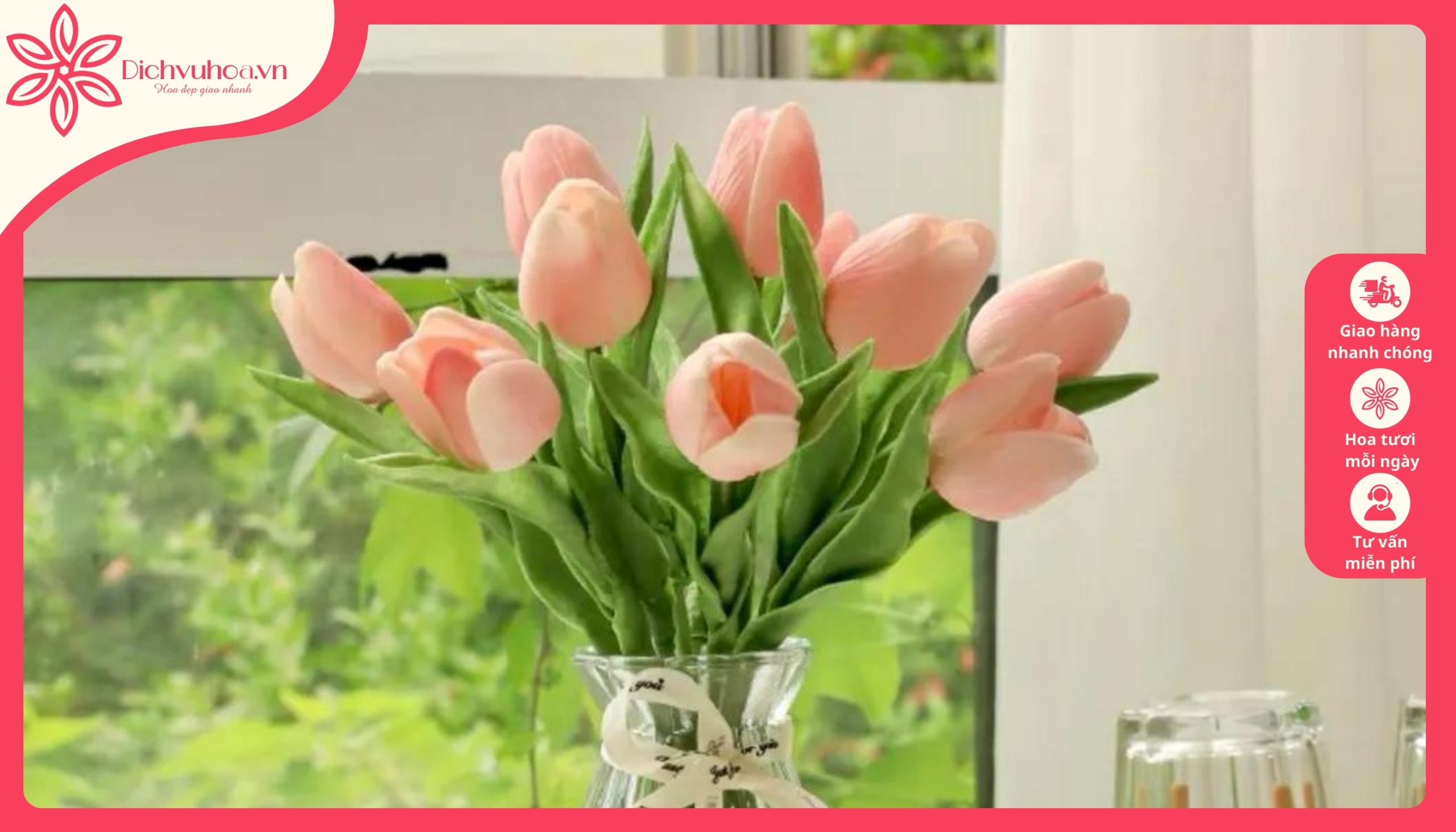 Hoa Tulip loại hoa chúc mừng 14/2