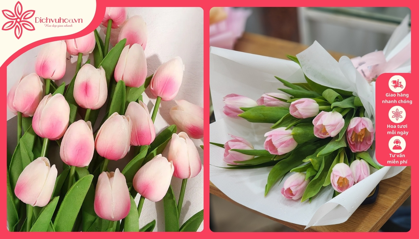 Nên tặng hoa tulip vào dịp nào thì có ý nghĩa