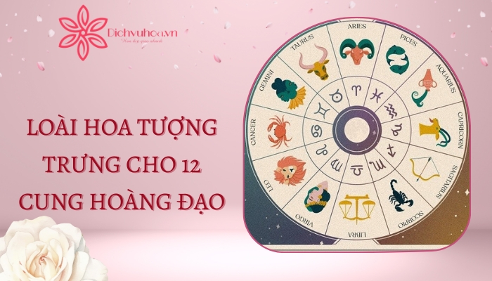 Ý nghĩa 12 loài hoa tượng trung cho 12 cung hoàng đạo