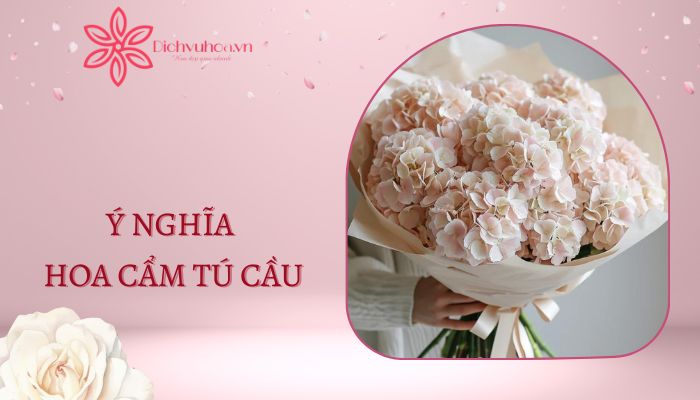 Khám Phá Ý Nghĩa Hoa Cẩm Tú Cầu Trong Tình Yêu Và Cuộc Sống