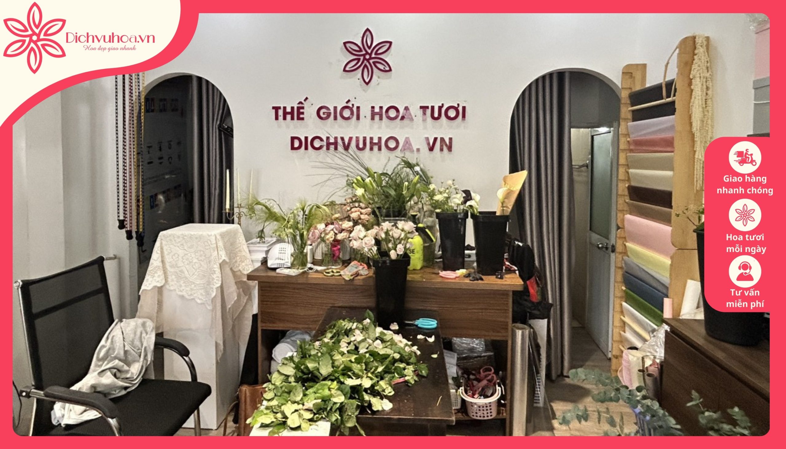 Dichvhoa.vn - Địa chỉ đặt hoa đồng tiền đẹp, giá tốt