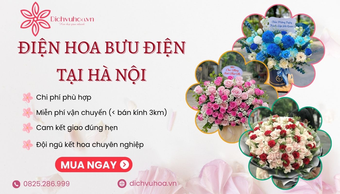 Dichvuhoa.vn - Điện hoa uy tín tại Hà Nội 