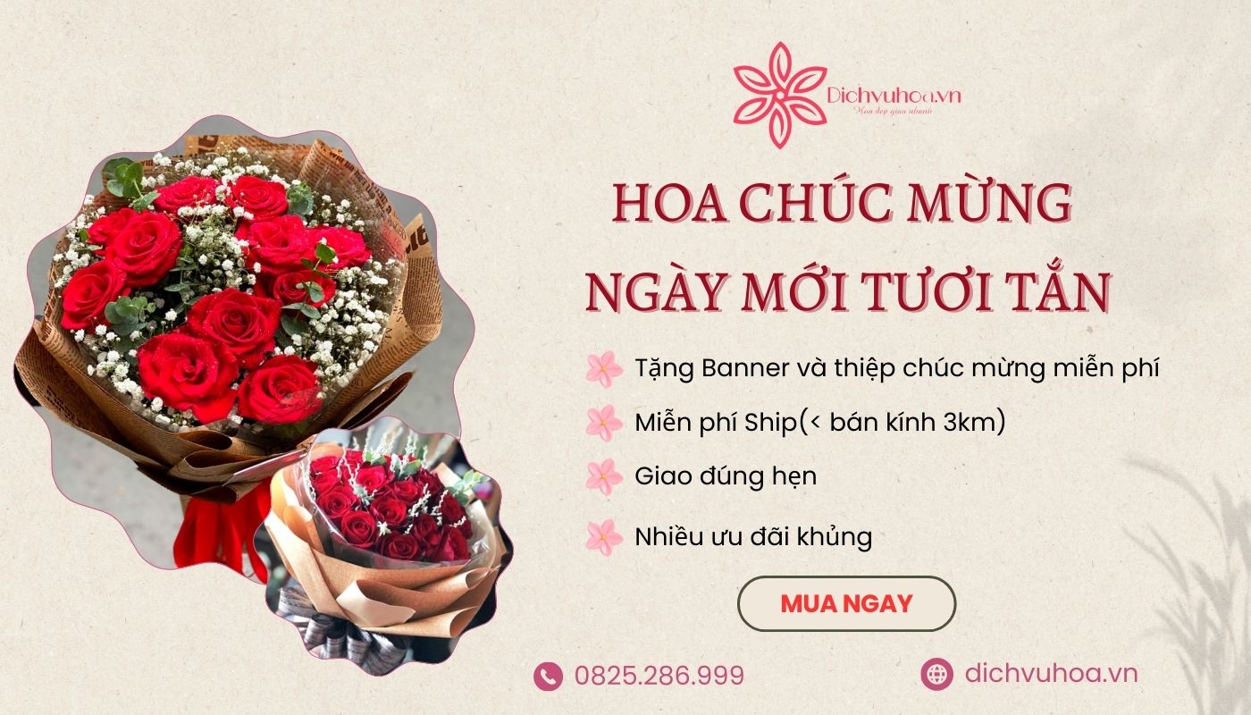 Dichvuhoa.vn - Shop bán hoa chúc mừng ngày mới uy tín tại Hà Nội 