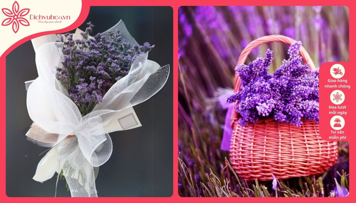 Hoa lavender sắc tím nổi bật