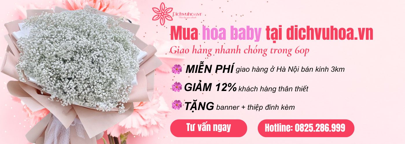 Mua hoa baby đẹp, giá rẻ tại Dichvuhoa.vn