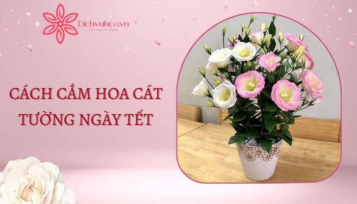 Cách cắm hoa cát tường chưng ngày Tết đẹp, dễ thực hiện