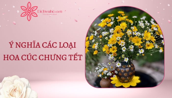 Ý nghĩa các loại hoa cúc chưng tết đẹp và ý nghĩa