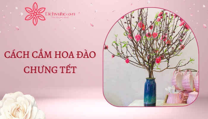 Ý nghĩa và cách cắm hoa đào chưng Tết