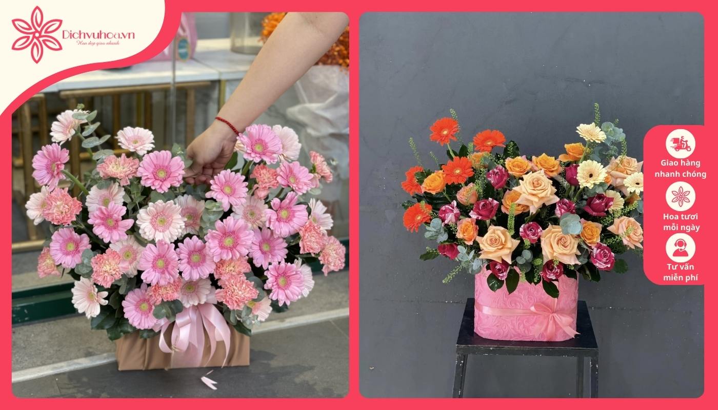 Giỏ hoa đồng tiền chúc may mắn Giỏ hoa đồng tiền chúc may mắn