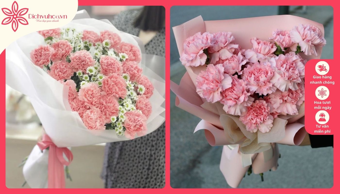 Chọn hoa cẩm chướng tặng bé gái Chọn hoa cẩm chướng tặng bé gái