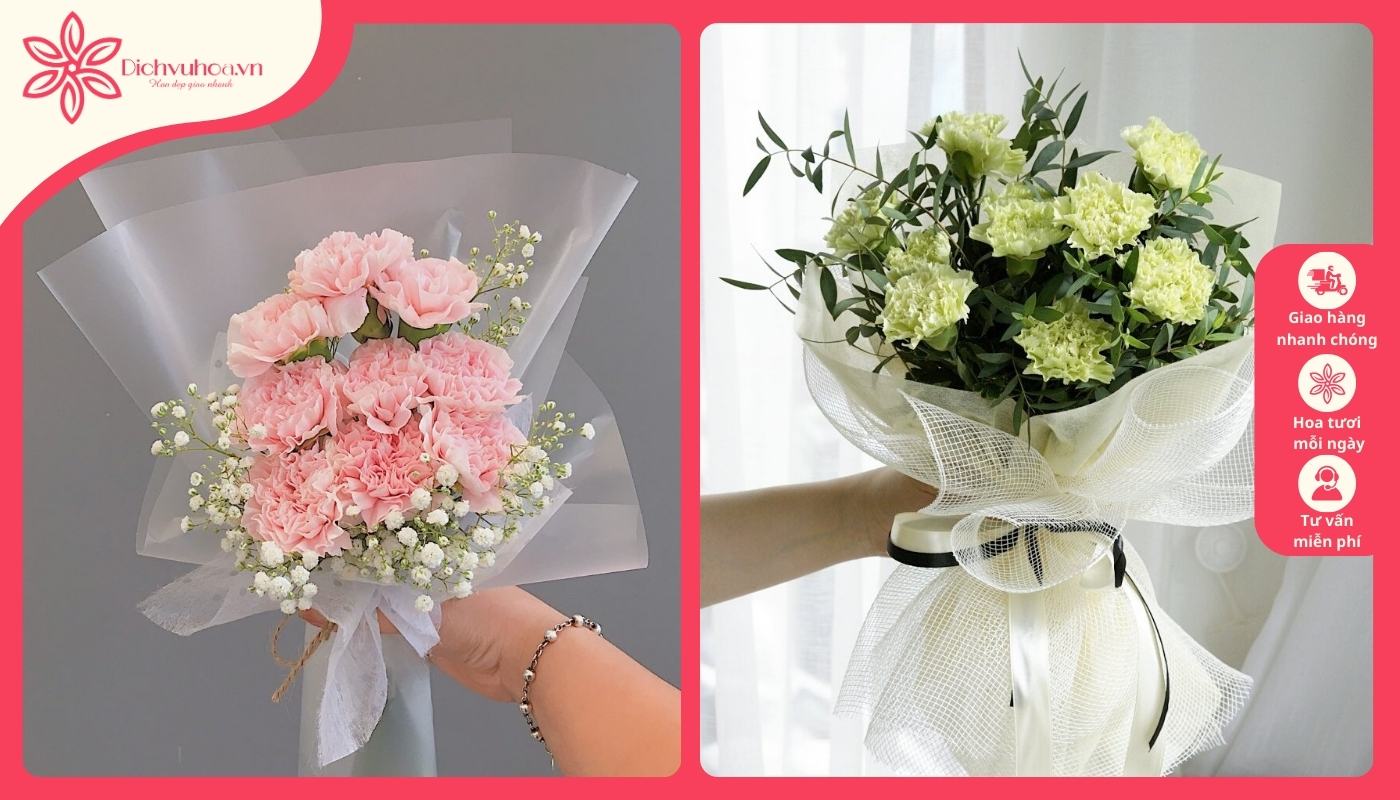 Hoa cẩm chướng thay lời tri ân thầy Hoa cẩm chướng thay lời tri ân thầy