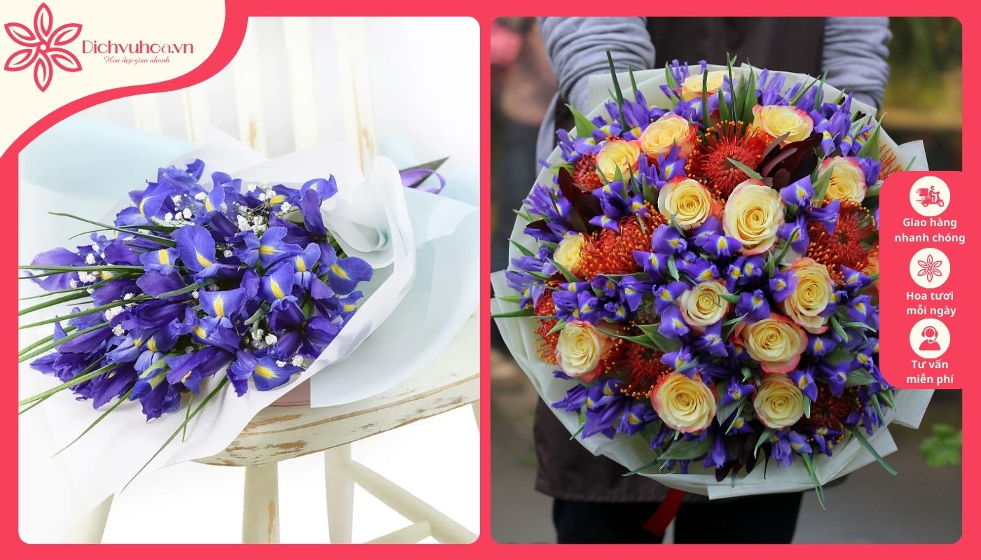 Hoa diên vĩ mang ý nghĩa đặc biệt tặng chồng Hoa diên vĩ mang ý nghĩa đặc biệt tặng chồng