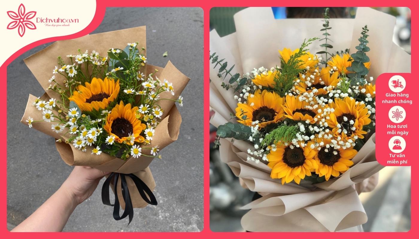 Hướng dương - Hoa chúc mừng sinh nhật thầy giáo ý nghĩa Hướng dương - Hoa chúc mừng sinh nhật thầy giáo ý nghĩa