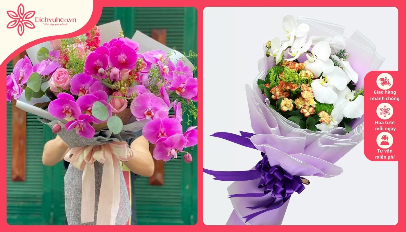 Lan hồ điệp - Hoa chúc mừng sinh nhật bố Lan hồ điệp - Hoa chúc mừng sinh nhật bố