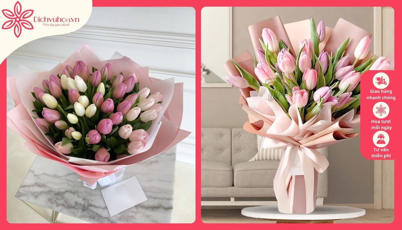 Tulip - hoa tặng sinh nhật con gái đẹp, ý nghĩa Tulip - hoa tặng sinh nhật con gái đẹp, ý nghĩa