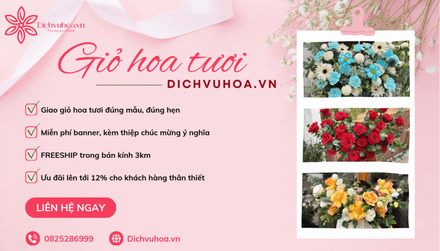 Dichvuhoa chuyên cung cấp các mẫu giỏ hoa tươi đẹp, giá tốt