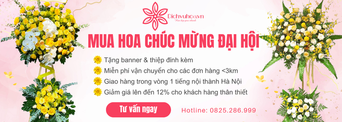 Mua hoa chúc mừng đại hội uy tín, giá tốt tại Dichvuhoa.vn